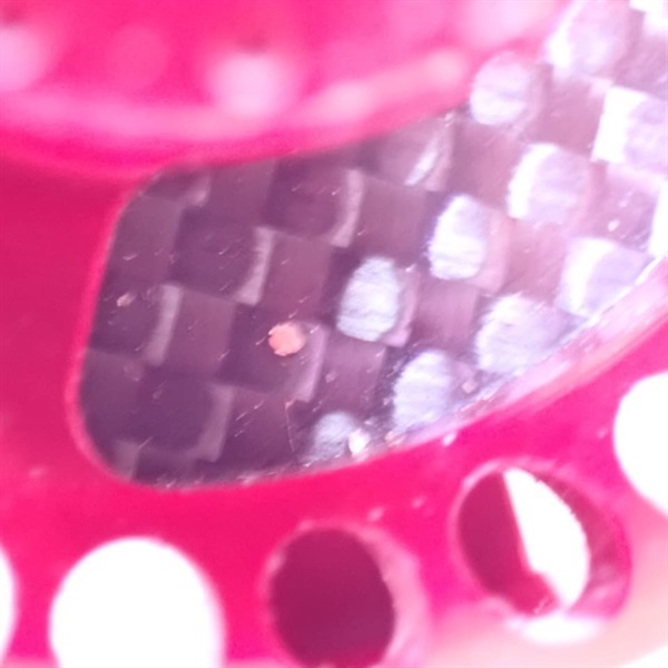 ＴＨＥ落とし込みＢＡＹリミテッド７５